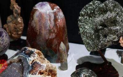 Explore the Wonders of the Tucson Gem Show on 22nd Street!