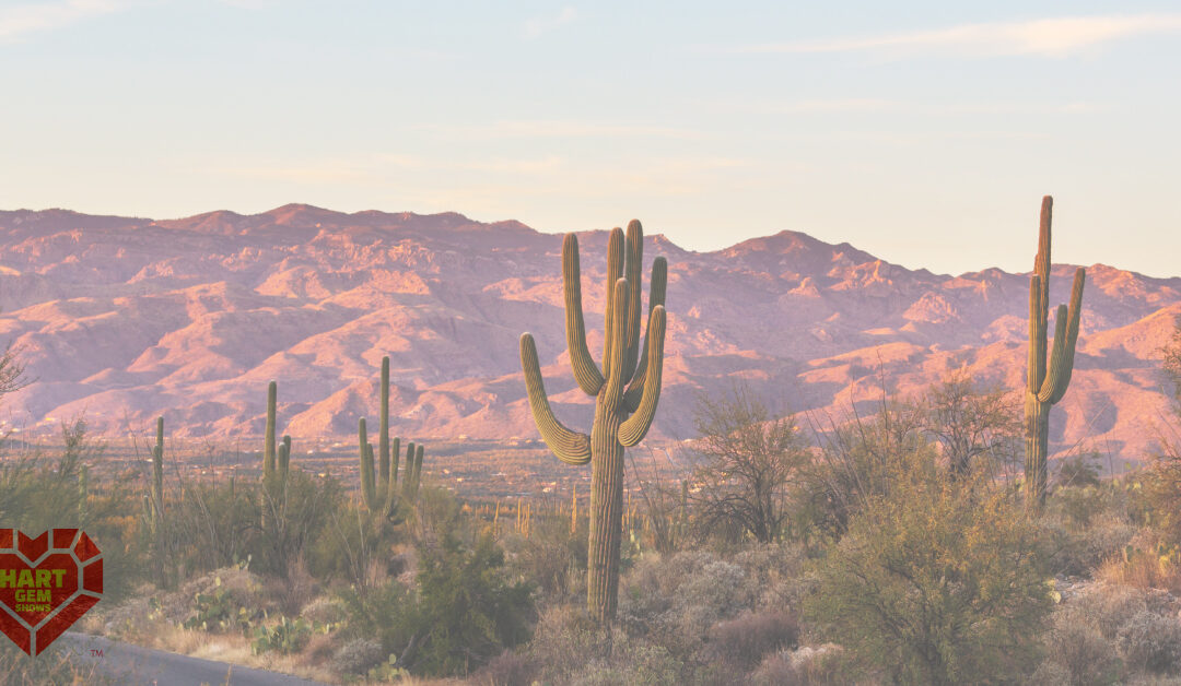 Discovering the Beauty of Copper Minerals in Arizona