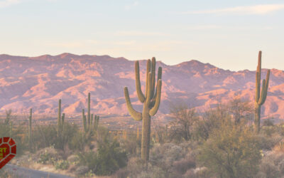 Discovering the Beauty of Copper Minerals in Arizona