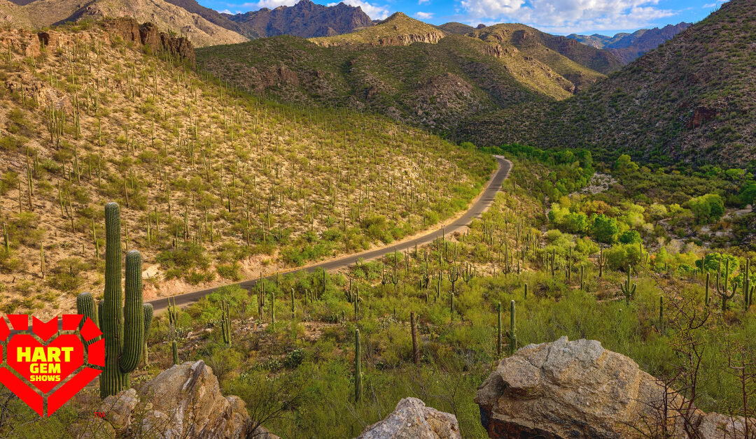 How Tucson Became a Center for Gem Enthusiasts