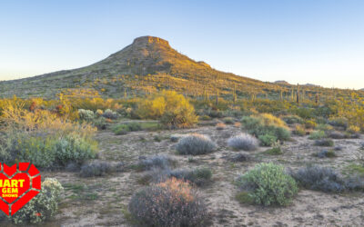 The Indigenous History of Gems in Tucson: A Rich Legacy